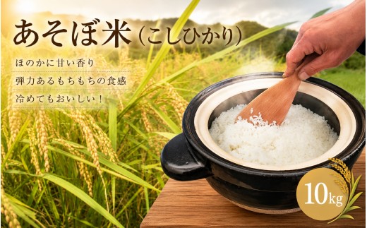 
            【令和7年】あそぼ米（こしひかり） 10kg 白米 お米 減農薬栽培 熊野市【asit0003】
          
