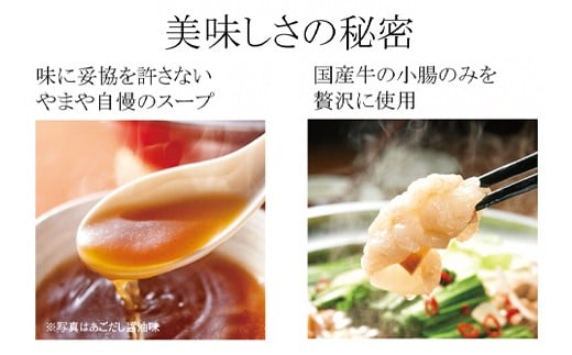 【本場博多のもつ鍋をご家庭で】 やまや 博多もつ鍋 あごだし醤油味（ 1～2人前 ）