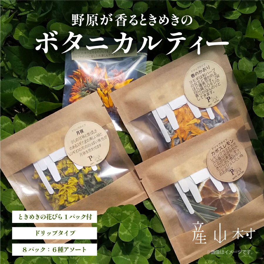【ふるさと納税】野原のボタニカルティーセット 《30日以内に出荷予定(土日祝除く)》熊本 阿蘇 ボタニカル ハーブ ハーブティー お茶 エディブルフラワー ドリップ オーガニック 限定 プレゼント 贈答 ギフト 産山村 送料無料 petit terrai