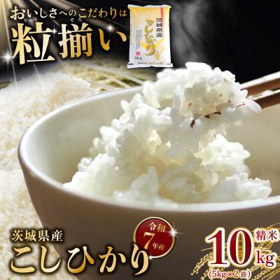 ふるさと納税 下妻市 精米 コシヒカリ 10kg 茨城県下妻市産