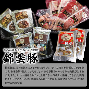 お米育ちの錦雲豚バラエティギフト（ハム類・餃子・ハンバーグ・カレーのセット）　FN0601