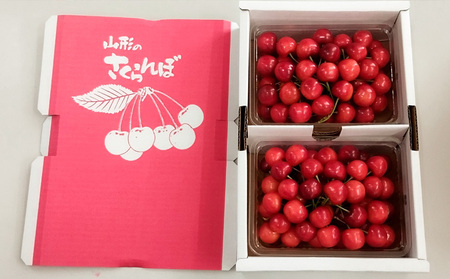 山形市産さくらんぼ【佐藤錦】Lサイズ 700g バラ詰め 【令和8年産先行予約】FS25-036