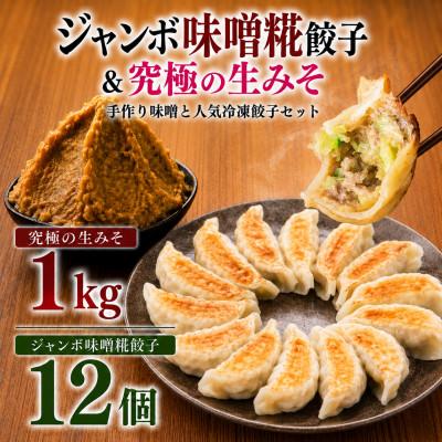 ふるさと納税 矢吹町 【無添加・国産発酵食品】ジャンボ味噌糀餃子(12個入り)と究極の生みそ1kgセット