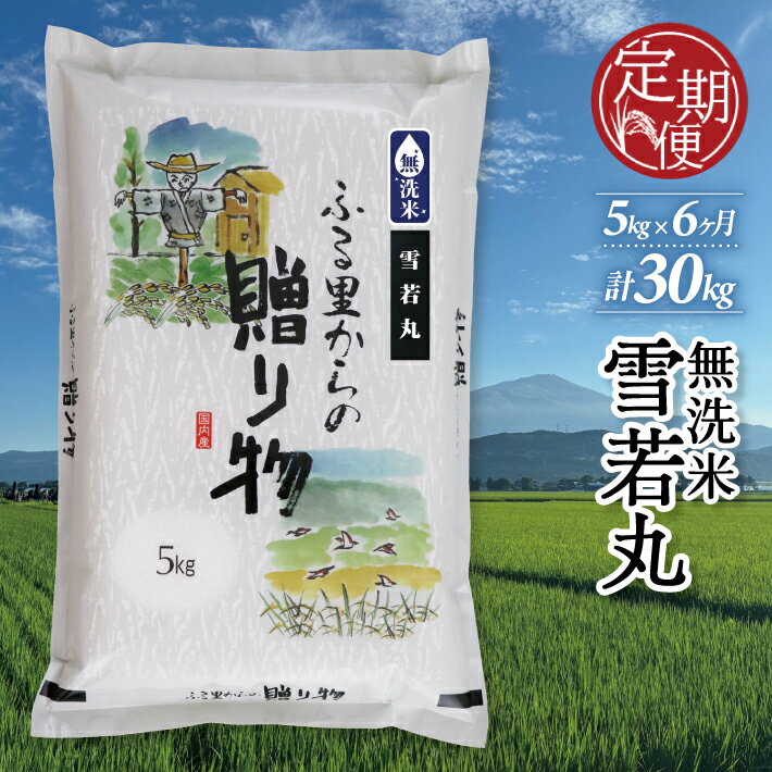 【ふるさと納税】≪新米予約≫ ≪6ヶ月定期便≫ 無洗米 雪若丸 5kg×6ヶ月連続 計30kg 山形県産 ご希望期間の毎月下旬頃お届け 産地直送 米 お米 精米 白米 庄内米 ブランド米 東北 酒田市