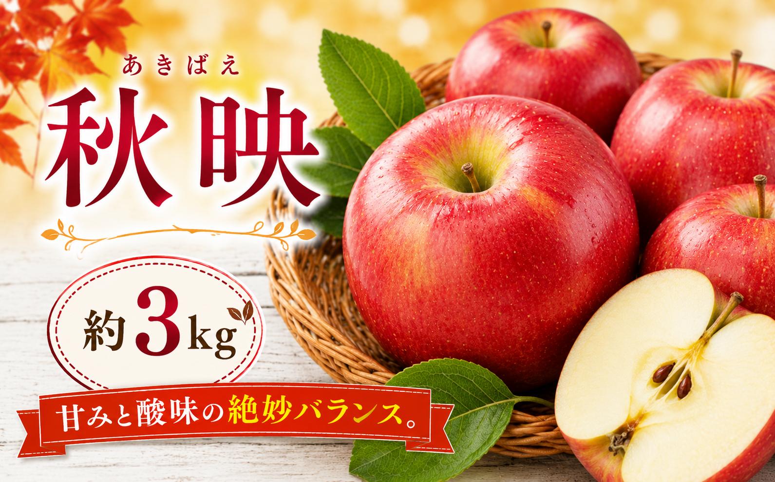 
                  【2026年先行予約】信州塩尻産 秋映 約3kg | 先行受付 果物 くだもの フルーツ 秋映 あきばえ りんご りんご三兄弟 林檎 信州 長野県 塩尻市
                