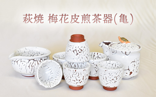 
            【352047000964】萩焼 梅花皮煎茶器(亀)
          