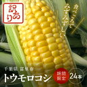 【ふるさと納税】【2025年6月上旬より順次配送】訳あり 朝獲れ トウモロコシ 24本（280g以上×24本：約6.7kg以上） / スイートコーン ゴールドラッシュ 味来 トウモロコシ とうもろこし 千葉県 富里市 採れたて とれたて 新鮮 食べごろ 旬 農家直送 美味しい TME013