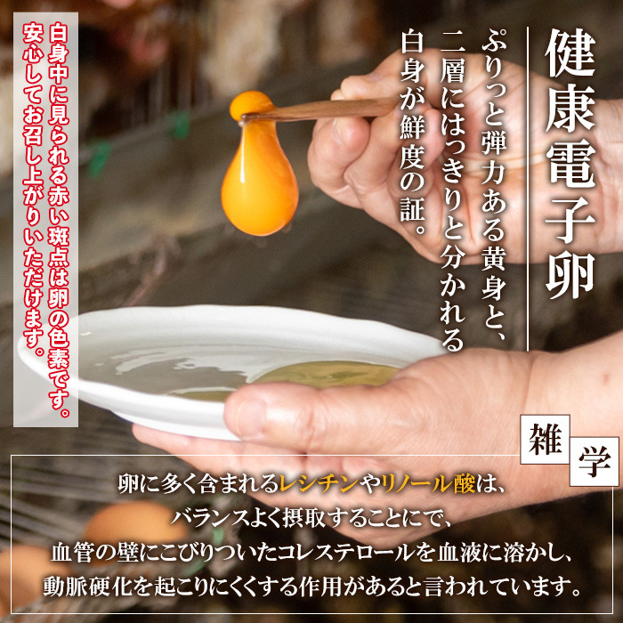 《定期便・全6回》鹿児島県産！健康電子卵(計360個・10個入り×6P×6回) 国産 九州産 たまご タマゴ 玉子 生たまご 親鳥 親鶏 新鮮 鶏卵 常温 毎月 連続 小分け パック 朝ごはん おかず