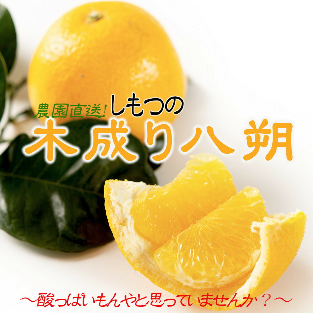 【ふるさと納税】【選べる容量】訳あり はっさく 八朔 ハッサク わけあり 6～10kg箱 大小混合サイズ｜海南市産 まごころ産直みかん 木成り 完熟はっさく 柑橘 みかん フルーツ 和歌山みかん 国産 産地直送 甘酸っぱくて爽やか！