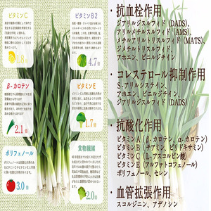 【 ぎょうざ 】 ぎょうざ4パック