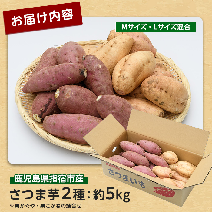 【2026年11月上旬以降～順次発送】さつまいも2種(栗かぐや・栗こがね)詰合せ約5kg(らくと農園/IB084-002)さつまいも おやつ さつま芋 焼芋 やきいも 焼きいも スイーツ