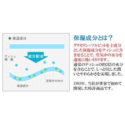 ふるさと納税 蓮田市 保湿ペーパー　アヴォンリーキースボックスティシュ　10箱 |  | 01