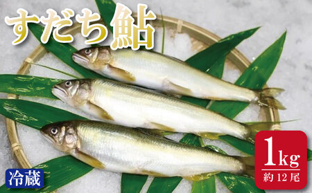 すだち 鮎 1kg 鮎