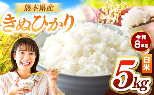 R8年産 きぬひかり 白米 5kg | お米 米 こめ おこめ 精米 キヌヒカリ 5キロ 国産 国産米 くまもと 熊本 熊本県 玉名市 玉名