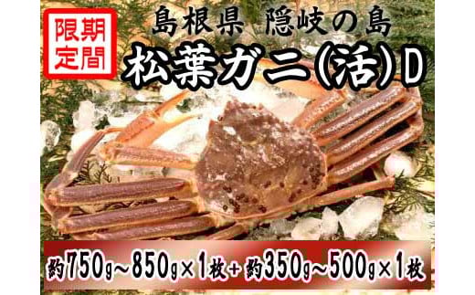 
                  0919　隠岐松葉ガニ(活)D
                