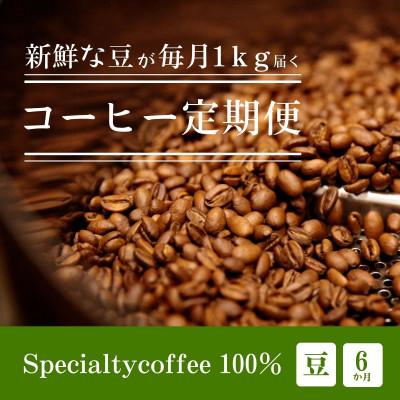 ふるさと納税 豊川市 【毎月定期便】毎月違うコーヒー豆をお届け スペシャルティコーヒー 豆 1kg全6回