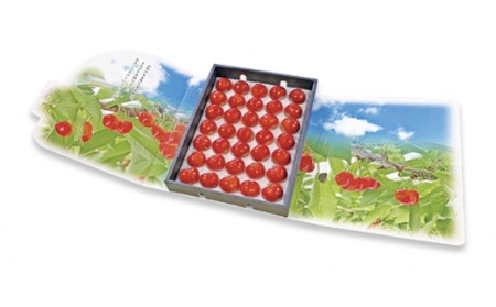 《限定品》 ☆やまがた紅王☆ 3L～4Lサイズ 35粒（約450g） 特秀～秀品 FSY-0614