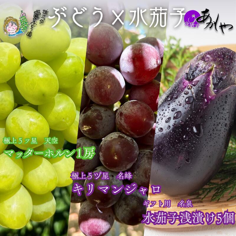 【ふるさと納税】「名峰」マッターホルンとキリマンジャロの大粒2種ぶどうと「名泉」泉州水なすぬか漬け5個 計4kg　お届け：2025年8月下旬～9月下旬まで