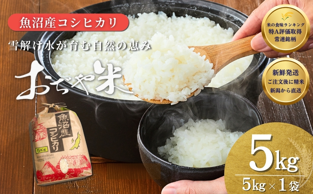 令和7年産 魚沼産コシヒカリ5kg【クラフト袋入り】JA魚沼