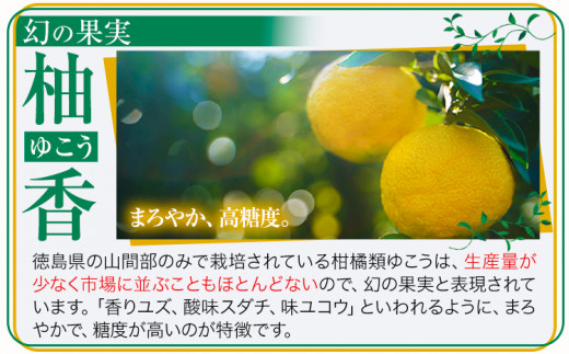 しあわせアイス 5種 セット 計6個 彩食品グループ 《30日以内に出荷予定(土日祝除く)》アイス アイスクリーム ご当地 スイーツ ご当地 アイス 特産品 柑橘 柚香 晩茶 お取り寄せ カップ ジェ