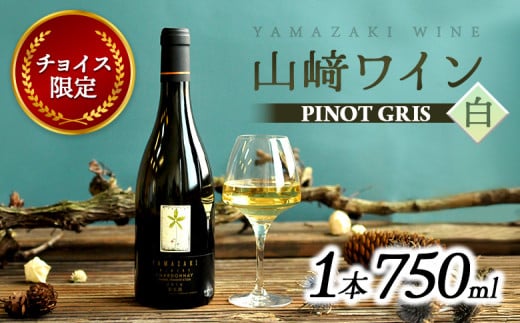 
            【チョイス限定】山崎ワインPINOT GRIS（白1本・750ml）【02001】
          