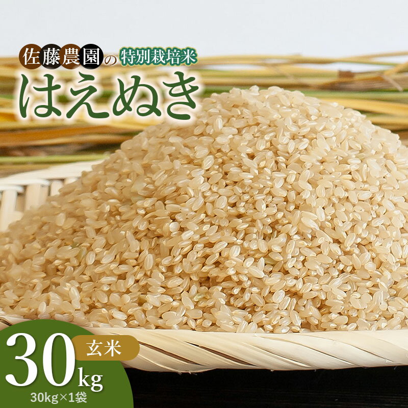 【ふるさと納税】【令和7年産】山形県鶴岡市産 特別栽培米 はえぬき 玄米 30kg（30kg×1袋）　佐藤農園