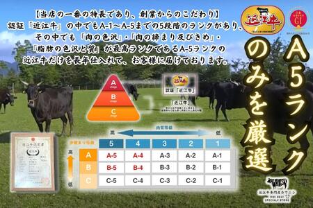 【近江牛A5ランク】しゃぶしゃぶ 特選！食べ比べセット（上ロース・肩ロース・赤身上モモ）900g