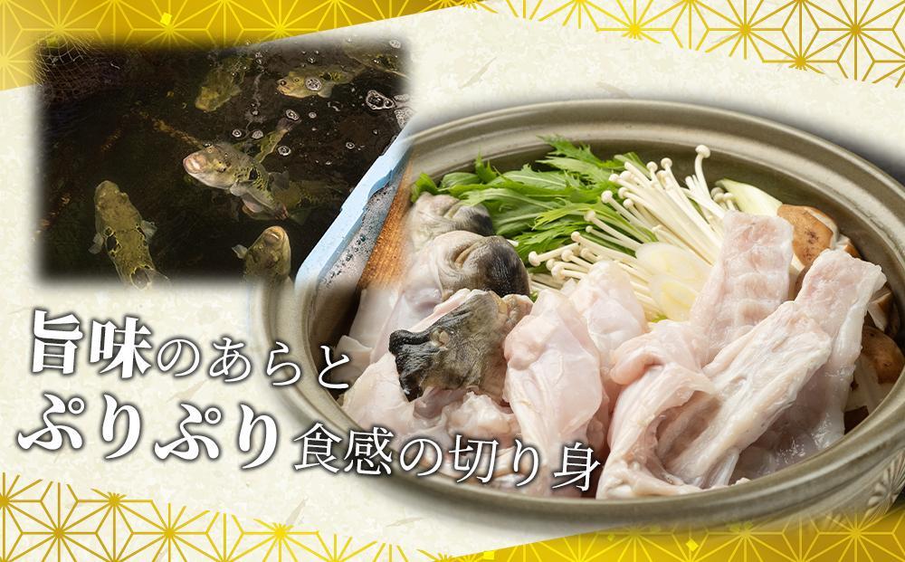 ふぐ料理専門店 『栄ふく』 国産 天然 とらふぐフルコース（5～6人前）青磁皿33cm付