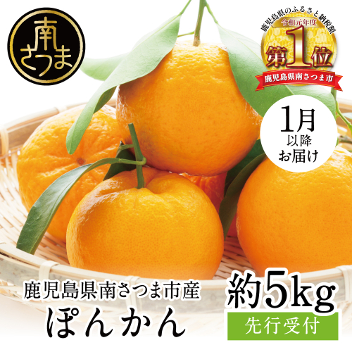 【2027年1月発送】数量限定！ぽんかん 約5kg ポンカン 果物 フルーツ 柑橘 みかん 常温 鹿児島県産 JA 南さつま市