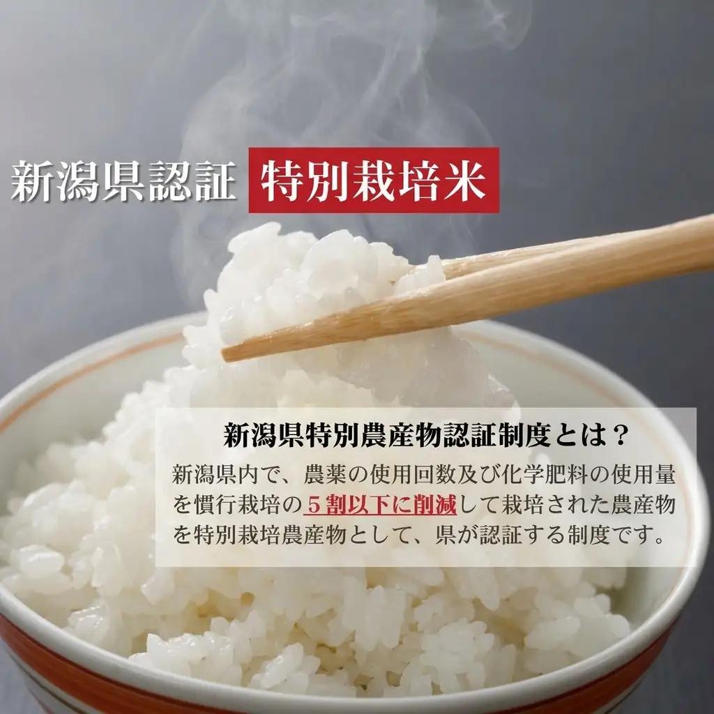 先行予約 令和8年産 新潟県上越市産 特別栽培米 コシヒカリ  15kg（5kg×3袋）ご飯 おにぎり