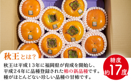 【ふるさと納税】【10月中旬より発送】福岡産ブランド柿 秋王 約3kg（8-12玉）＜南国フルーツ株式会社＞那珂川市 柿 秋王 ブランド フルーツ 果物 九州産 国産 30000 30000円 [GC