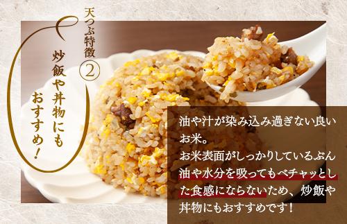 【令和8年産】米　国見町産　天のつぶ  20kg　5kg×4袋 ※沖縄・離島への配送不可 ※2026年10月中旬～2027年2月頃に順次発送予定