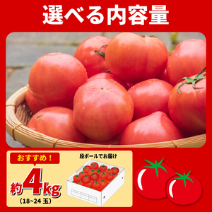 トマト 4kg 大玉 とまと