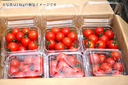 【朝どり直送】高糖度ミニトマト「宝玉丸」200g×8パック 計1.6kg