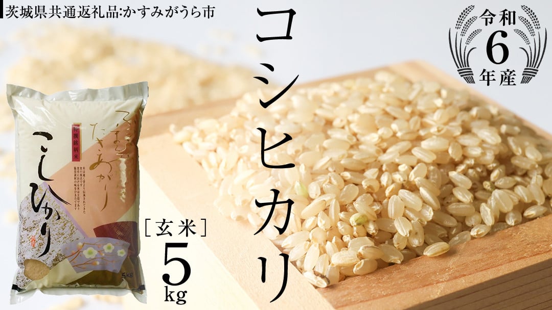 
            【 令和6年産 】 コシヒカリ 玄米 5kg ( 5kg × 1袋 ) (茨城県共通返礼品 かすみがうら市) 米 ごはん もっちり 甘い コメ お米 玄米 [EX003sa]
          