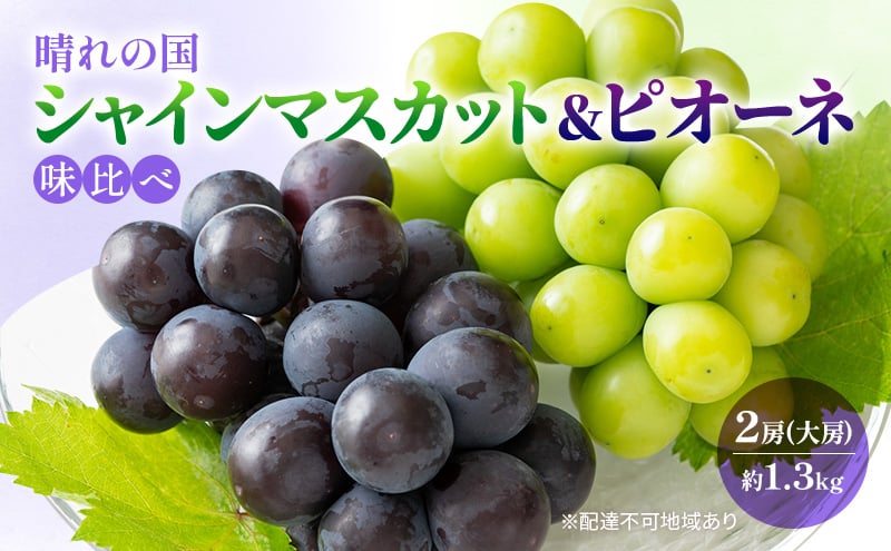 
            [№5615-0573]早期受付 ぶどう 晴れの国 シャインマスカット&ピオーネ 味比べ 2房（大房） 化粧箱入り 岡山県 高梁市 ブドウ 葡萄 果物 フルーツ 
          