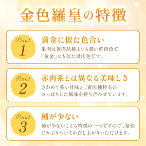 【先行予約／数量限定50】夕日ヶ浦すいか（金色羅皇） 1玉（2026年7月中旬～発送）果物 くだもの スイカ 西瓜  ふるさと納税 スイカ ふるさと納税 先行予約 フルーツ ふるーつ 甘い 京都 丹後