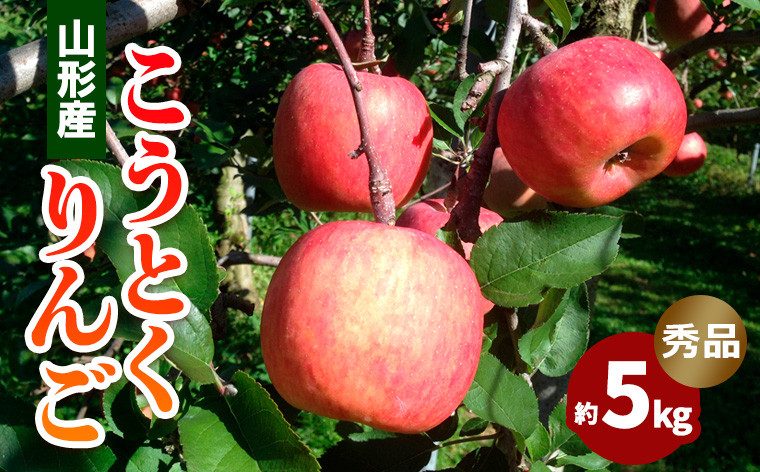 
                  山形市産 こうとくりんご 5kg  FZ20-521
                