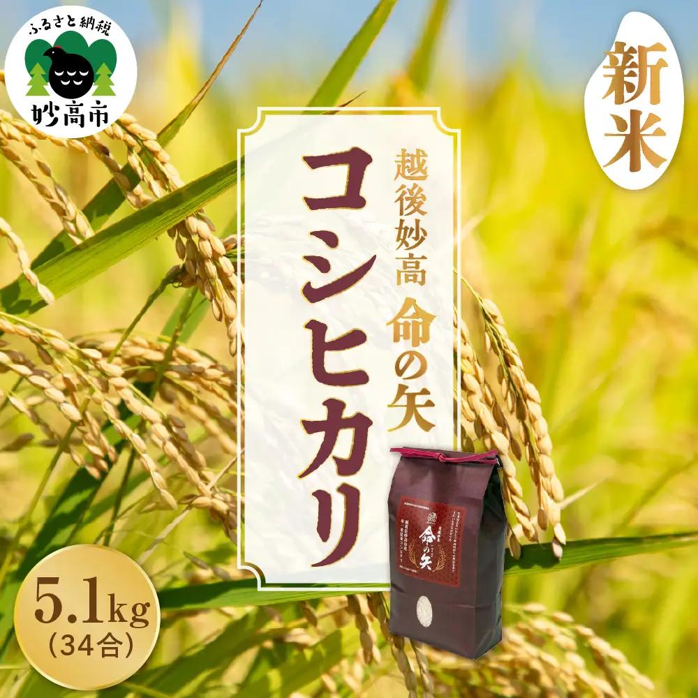 先行予約 令和8年産 越後妙高命の矢 コシヒカリ 5.1kg 妙高産