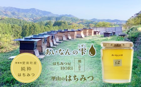 国産 天然 里山 はちみつ 蜂蜜 450g あいなんの雫 純粋 朝しぼり 濃厚 発送時期:2026年5月～(なくなり次第終了)