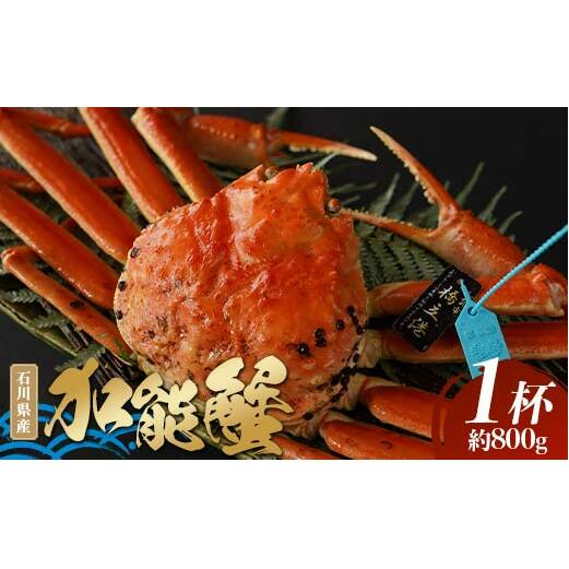 「石川県産タグ付き加能蟹（１杯）」さばき F6P-1725