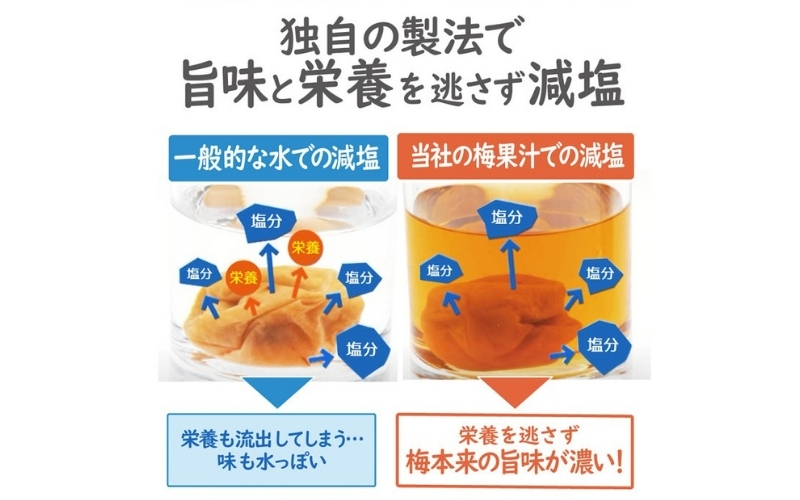 【旨味を逃がさない独自製法】はちみつ梅 特選A級 贈答用 ギフトに はちみつ漬800g 紀州南高梅 はちみつ梅干し【hoso002A】