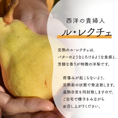 【きよとうファーム】あたご梨＆ル・レクチェ 上級品/5-7玉入(岡山県産)