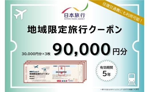 
            沖縄県石垣市　地域限定旅行クーポン90,000円分【 日本旅行 トラベルクーポン 納税チケット 旅行 宿泊券 ホテル 観光 旅行 旅行券 交通費 体験 宿泊 夏休み 冬休み 家族旅行 ひとり旅 カップル 夫婦 親子 石垣島旅行 】NR-3
          