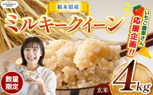 訳あり 数量 限定 定期便 令和8年度産 ミルキークイーン 約 4kg | とちぎの星 ミルキークイーン お米 kome okome ご飯 米 玄米 白米 ごはん おいしい ふるさと納税 那珂川町 栃木県 送料無料【栃木県共通返礼品】