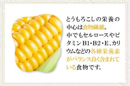 A-1160 ［夏作］朝採れとうもろこし　10本【先行予約 朝採れ とうもろこし 10本 早期予約 期間限定 季節限定 お土産 野菜 やさい 夏野菜 夏 トウモロコシ】