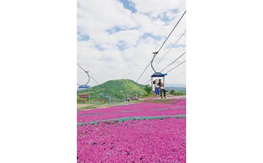 【29】茶臼山高原のリフト券（15枚）