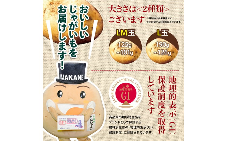 TVで紹介！【先行予約】今金男しゃく（Lサイズ）約10kg【GI認証取得】 じゃがいも 男爵 男しゃく いも だんしゃく 野菜 幻 北海道 今金町 GI認証 Lサイズ 10kg 青空レストラン F21