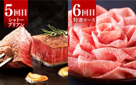 【全6回定期便】博多和牛 贅沢 食べ比べ 2人前( ステーキ すき焼き しゃぶしゃぶ ハンバーグ ) 《築上町》【久田精肉店】[ABCL154] 肉 和牛 牛 精肉 サーロインステーキ ヒレステーキ 