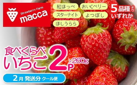 「ひょうご推奨ブランド」認証「西脇市産いちご食べくらべセット」（1箱2パック）令和８年２月下旬配送分～いちご畑macca～（06-39）